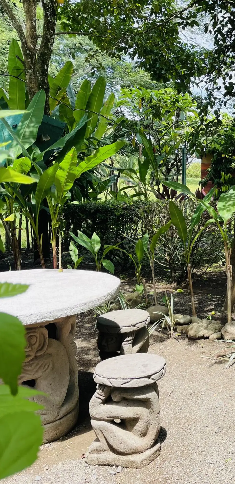 conexión consciente